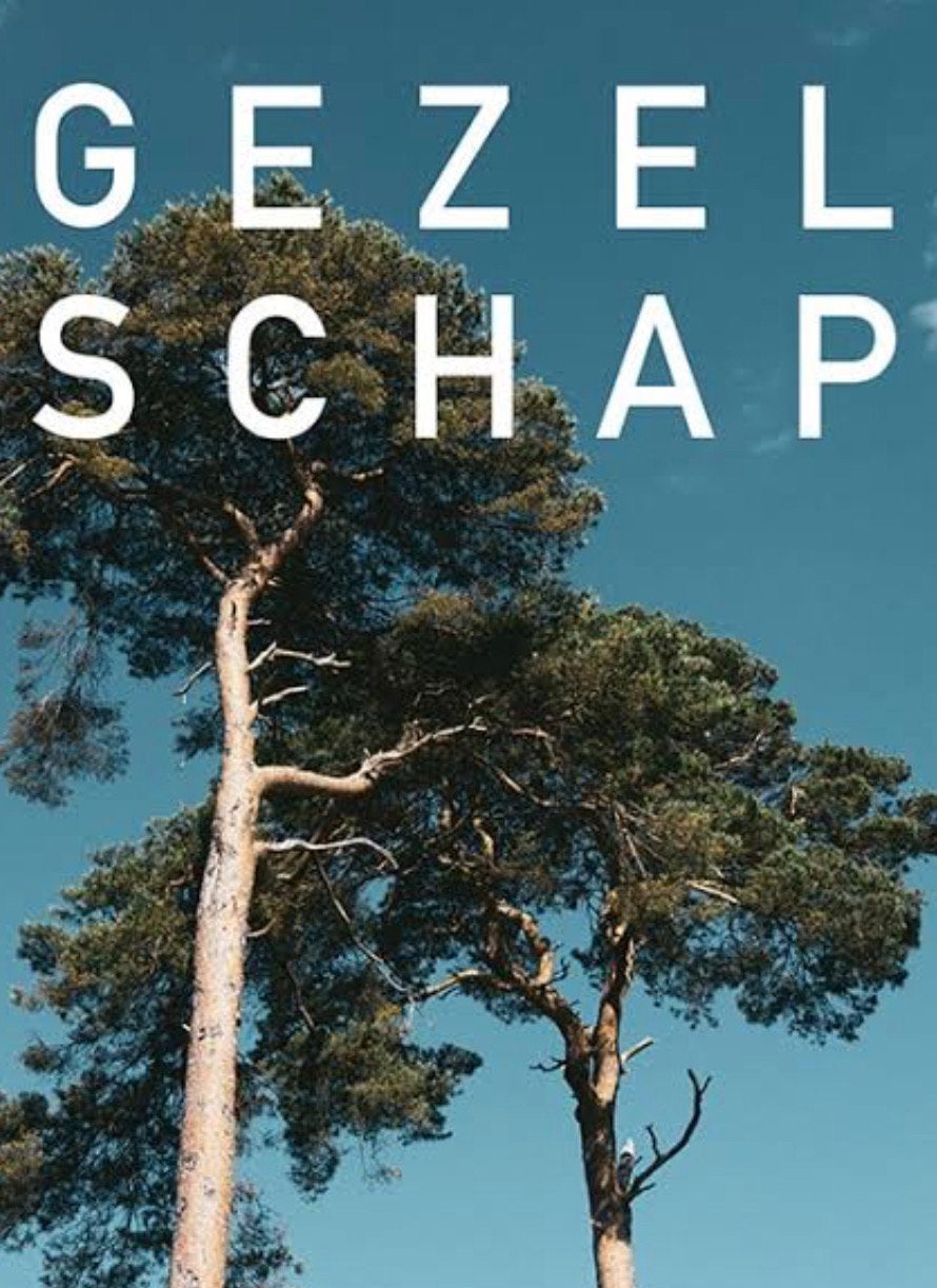 Gezelschap ik ben op zoek naar vriendschap gezelschap, Boeken, Ophalen, Nieuw
