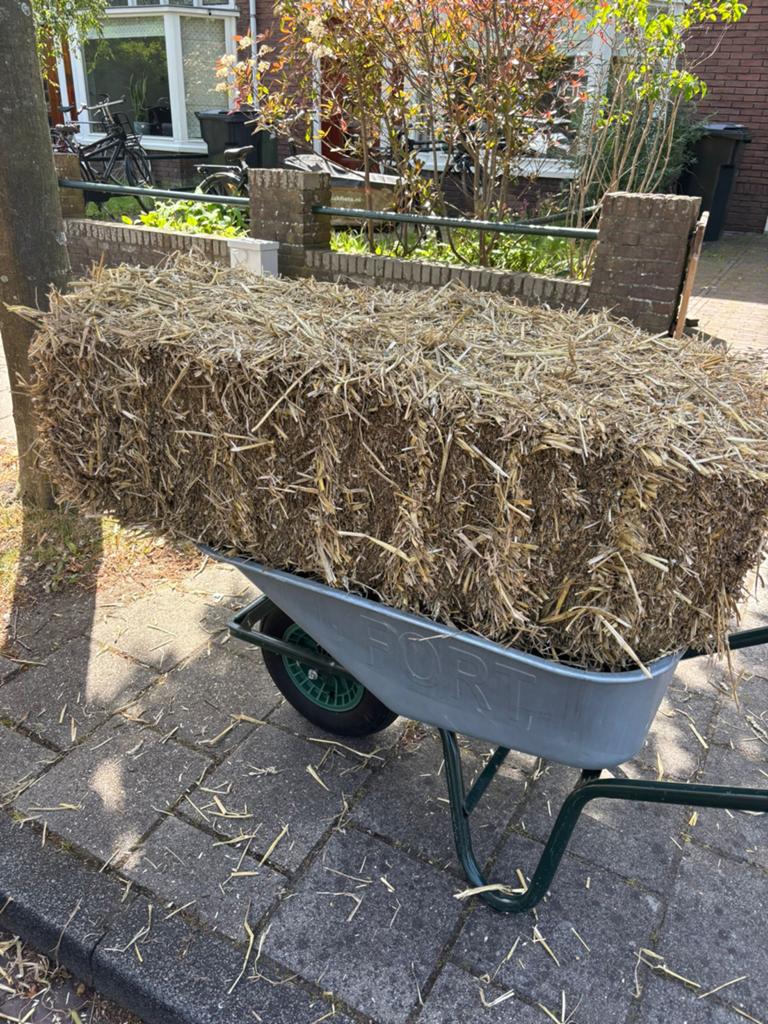 Strobalen te koop - Ideaal voor decoratie of dieren, Ophalen