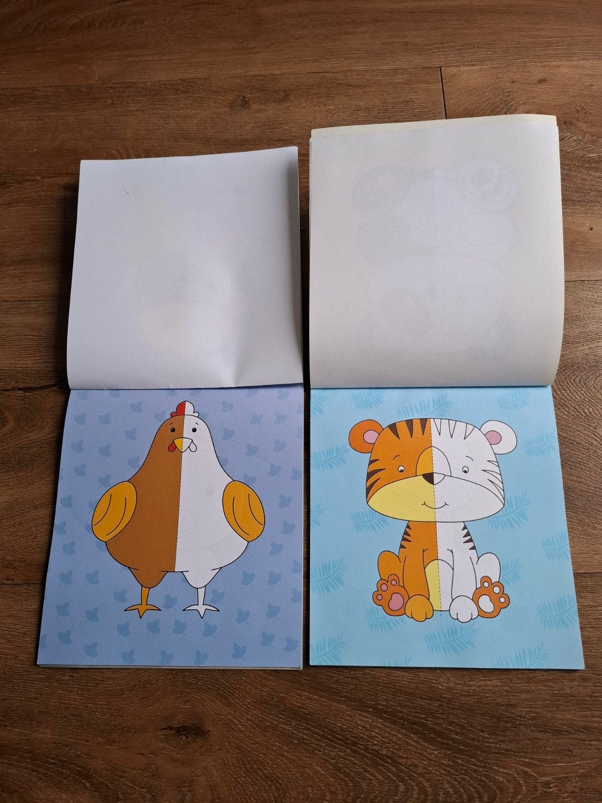 Spiegelbeeld kleurboeken € 1,- p.s., Ophalen