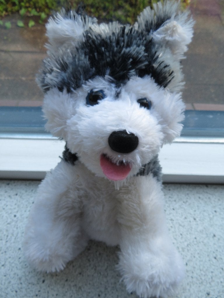 Hond Huskie Husky merk Paws meet ca 25 cm neus tot kruis, Wasbaar, Zo goed als nieuw, Middelgroot (20 tot 80 cm), Hond