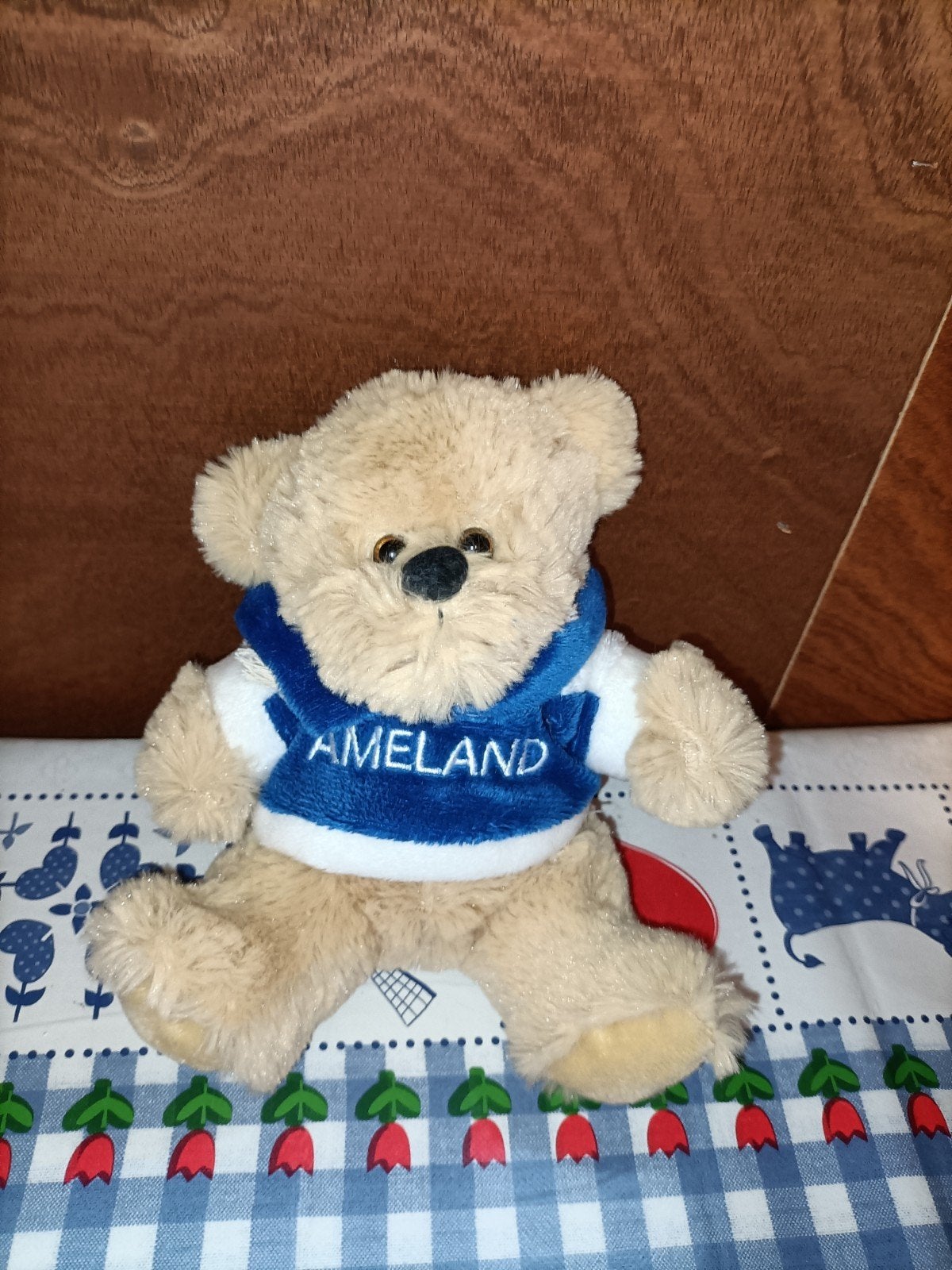 Ameland beer knuffel 19 cm groot, Ophalen of Verzenden, Zo goed als nieuw, Beer