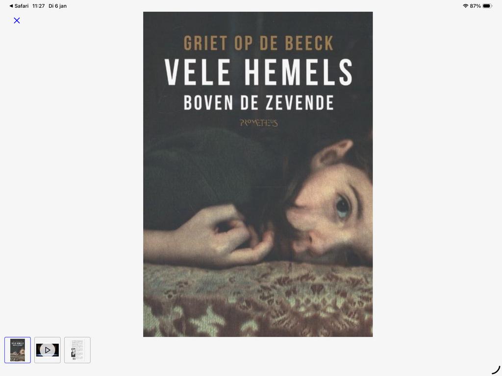 Griet Op De Beeck - Vele Hemels Boven De Zevende, Ophalen of Verzenden, Gelezen, België