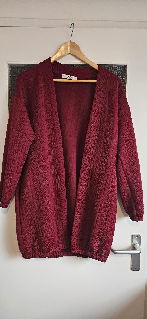 Mooi bordeauxrood vest, Ophalen of Verzenden, Zo goed als nieuw, Maat 38/40 (M), Rood