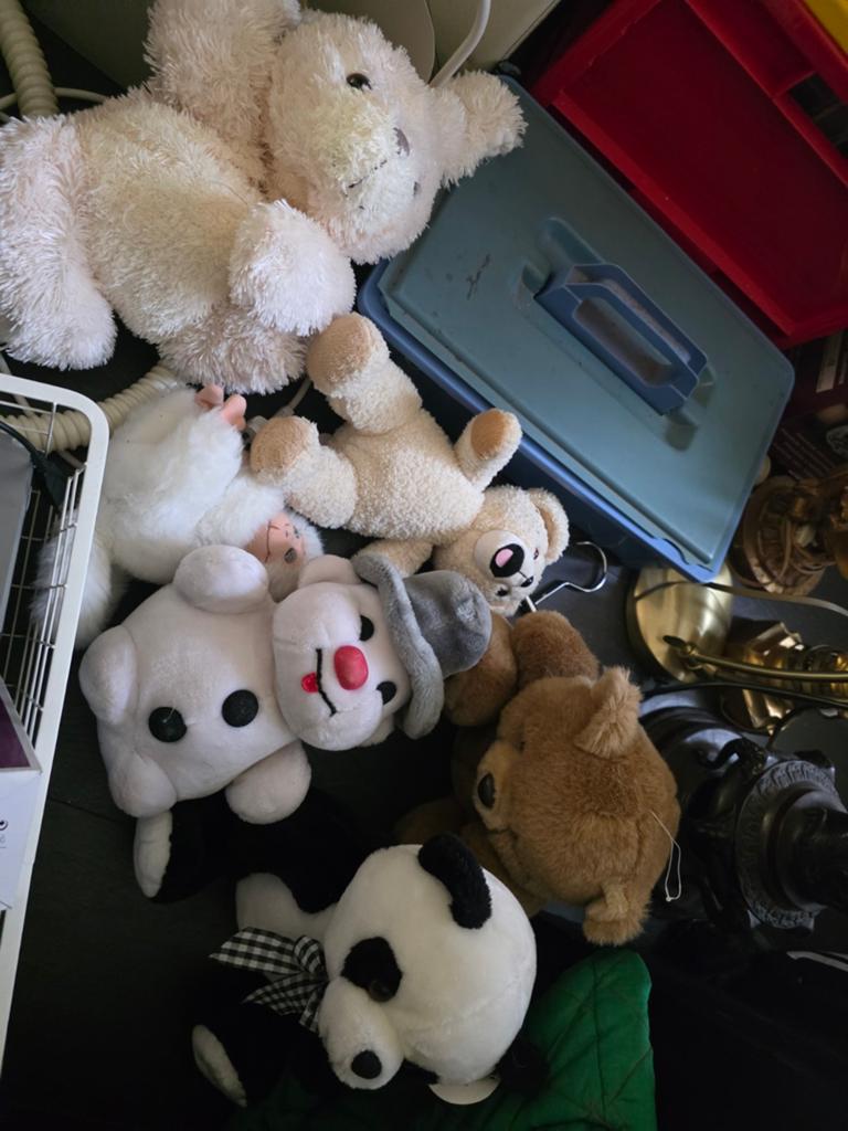Gratis amstelveen Diverse knuffels: beren, panda en meer, Ophalen, Gebruikt, Beer, Middelgroot (20 tot 80 cm)