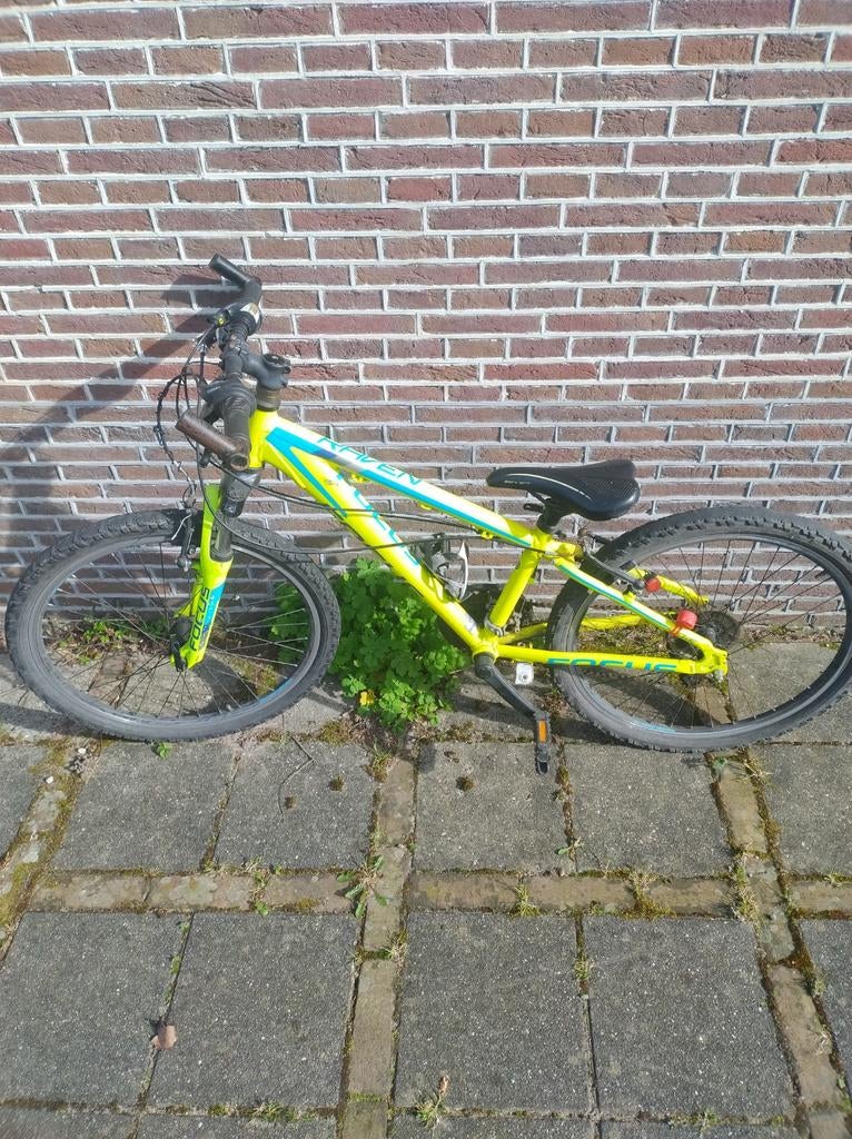 Focus Raven Mountainbike - Geel/Blauw, Gebruikt, Hardtail, Heren, 53 tot 57 cm