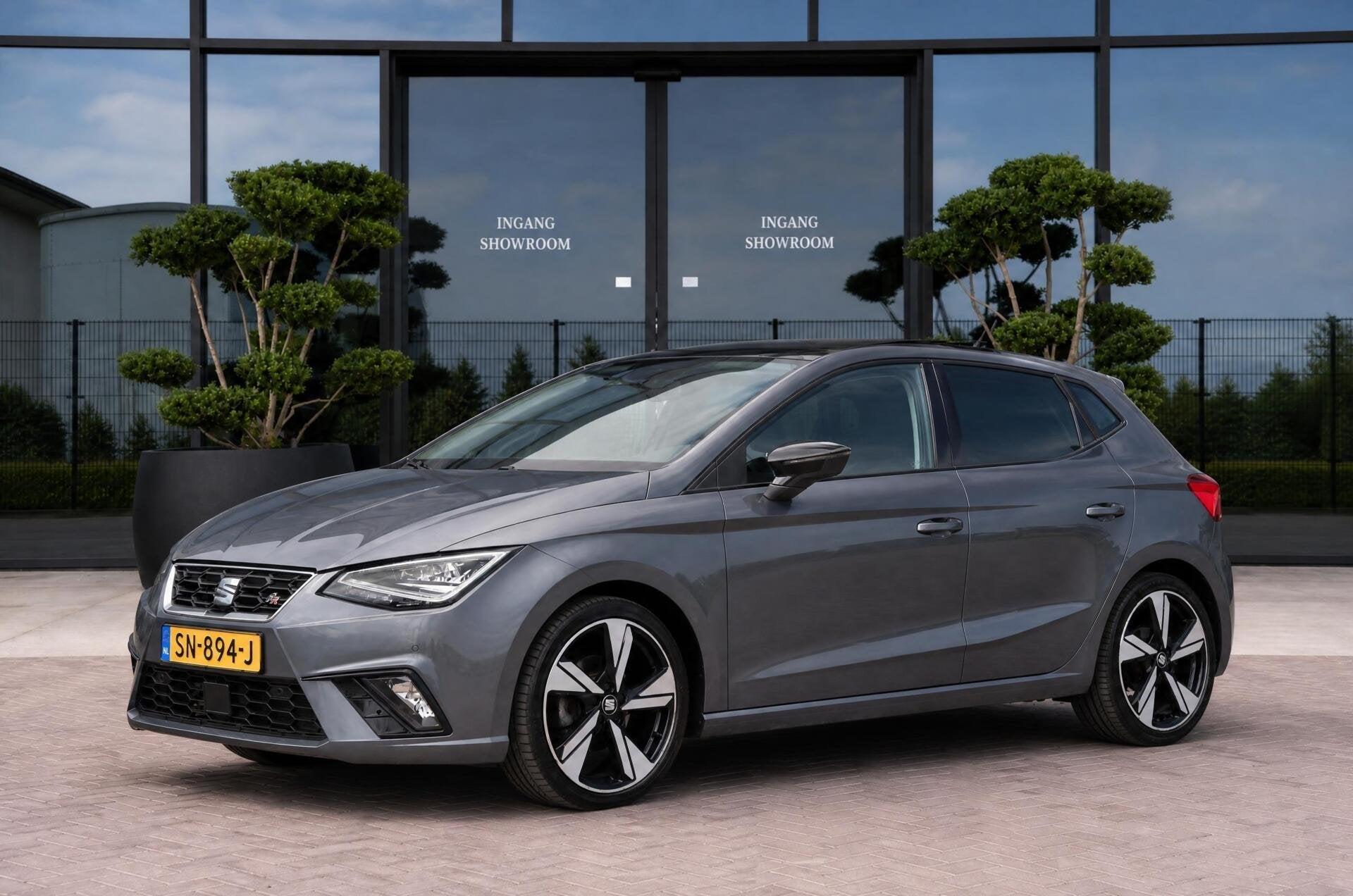 Seat Ibiza 1.0 TSI FR Business Intense PANO | LED | CRUISE, Auto's, Seat, Stof, 580 kg, 1064 kg, 116 pk