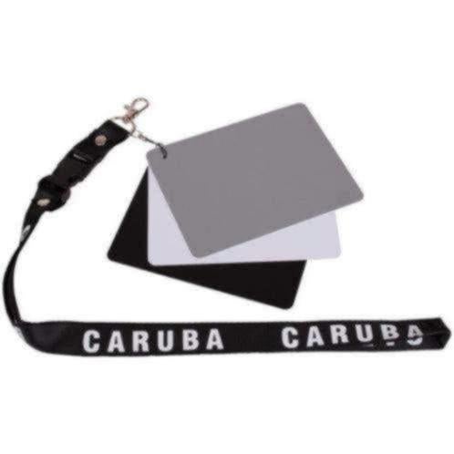 Caruba Digital Grey Card DGC-2, Overige typen, Ophalen of Verzenden, Eiberstraat 9 te Dokkum, Foto Meinema