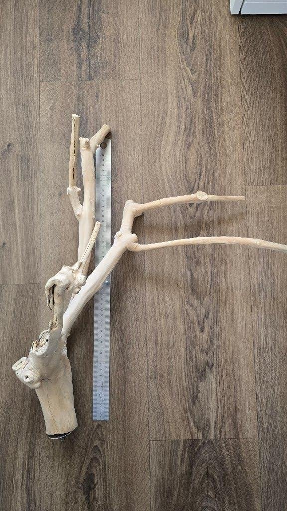 2x java zitplek  + ladder, Dieren en Toebehoren, Ophalen of Verzenden, Gebruikt, Kooi-accessoires