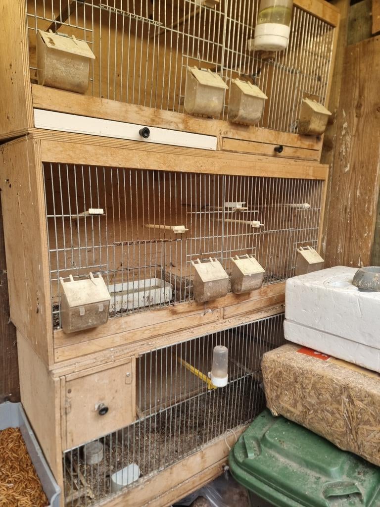 3 broedkooien, Dieren en Toebehoren, Vogels | Hokken en Kooien, Ophalen of Verzenden, Zo goed als nieuw, Hout, Broedkooi of Kweekkooi