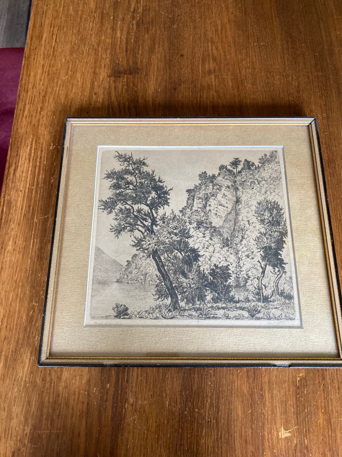 ANTIEKE GRAVURE VAN CARL STRAUSS, Antiek en Kunst, Ophalen of Verzenden, Overige typen, Overige technieken, Achter glas