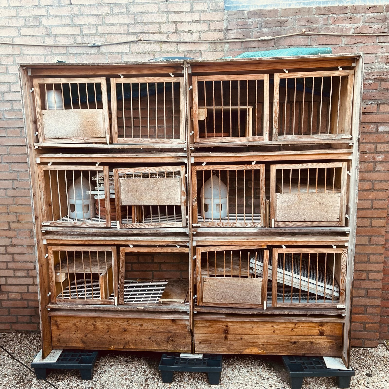 Broedhokken, Ophalen, Hout, Vogelkooi