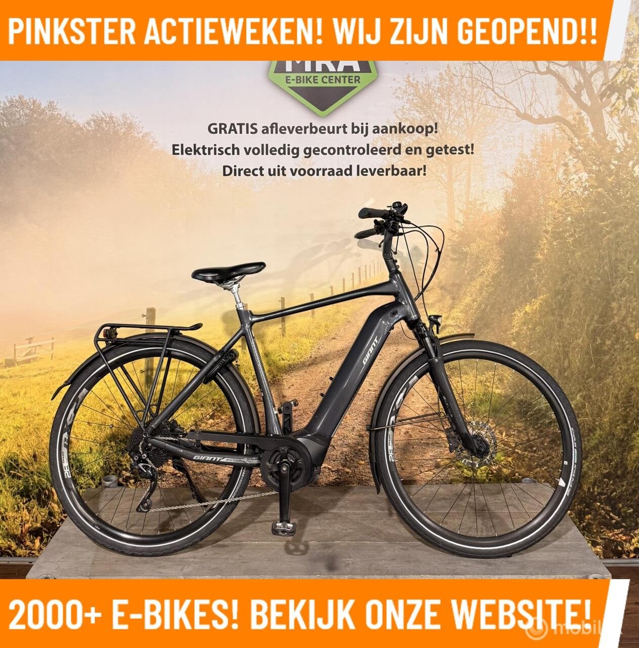 Giant Elektrische heren fiets met midden motor ebike bij MRA, 55 tot 59 cm, Giant