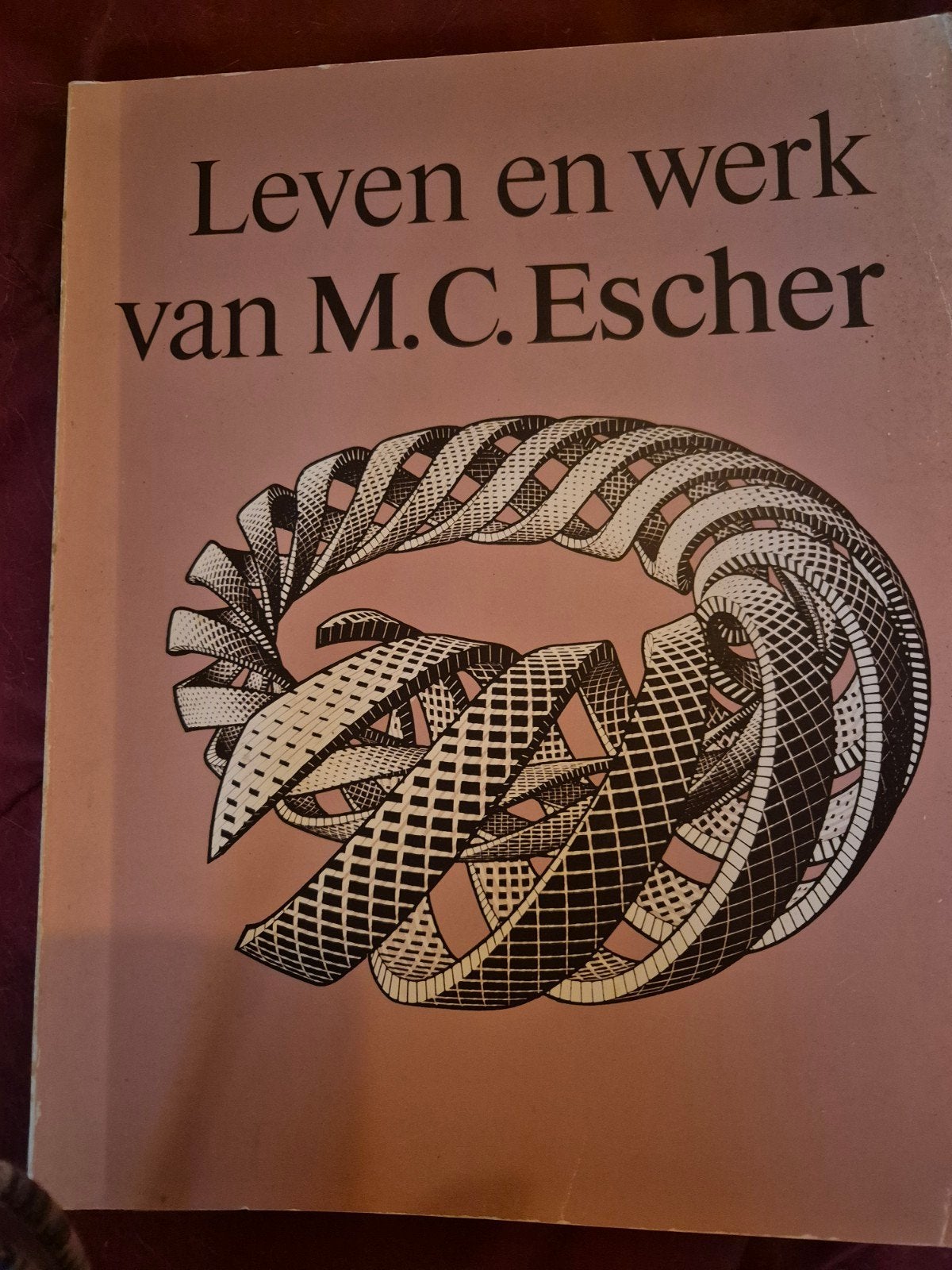 Leven en werk van M.C. Escher - Kunstboek, Antiek en Kunst, Ophalen of Verzenden