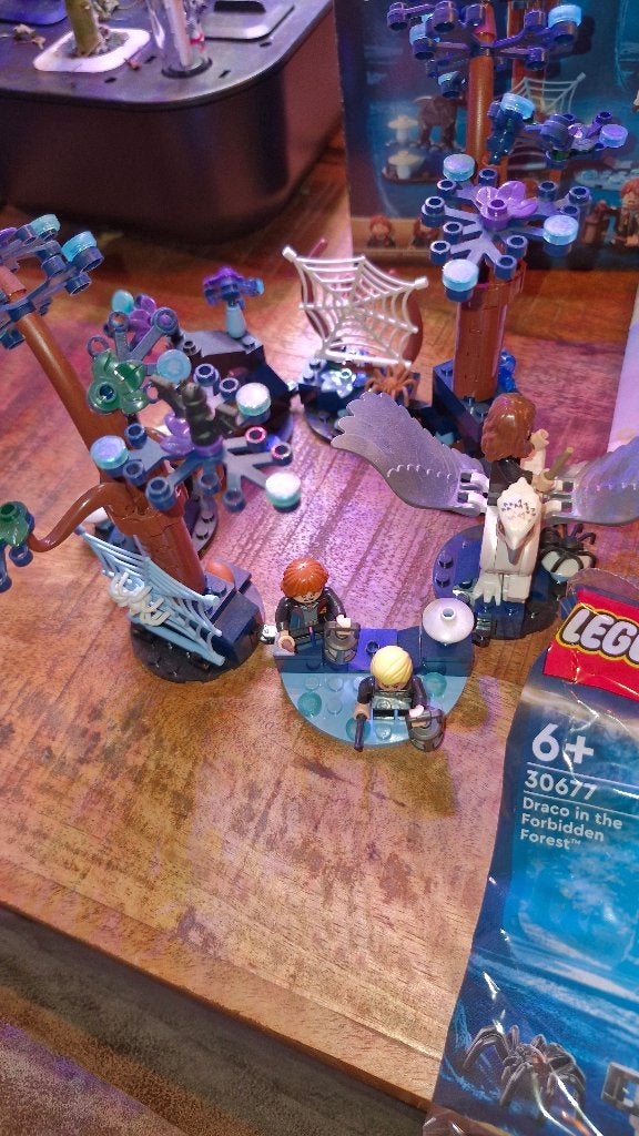 Lego 76432 Forbidden Forest + lego 76434 Aragog, Ophalen, Lego, Harry Potter, Complete set