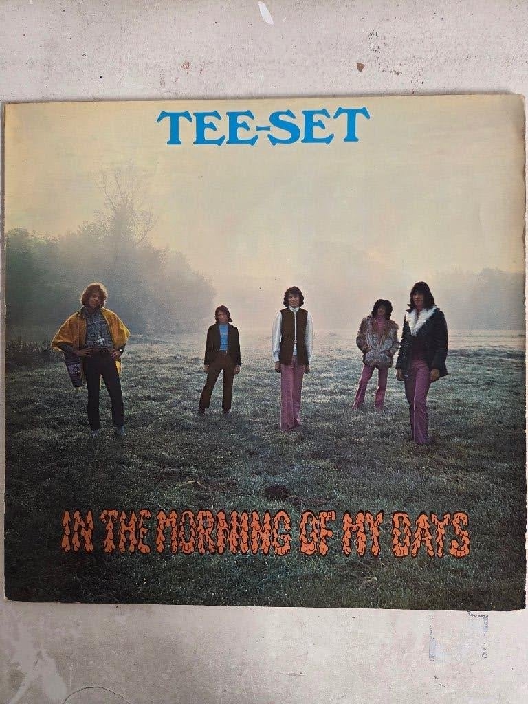 Nederbeat lp TEE-SET: IN THE MORNING OF MY DAYS, LP, Beschermende buitenhoes, Gebruikt, Ophalen of Verzenden