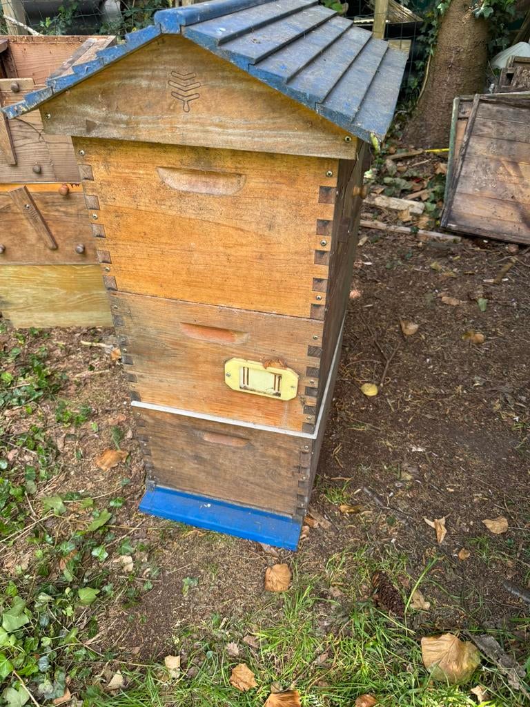Originele Flow Hive 6 flow 8 langstroth 2x bk + bodem en dak, Dieren en Toebehoren, Insecten en Spinnen, Bijen