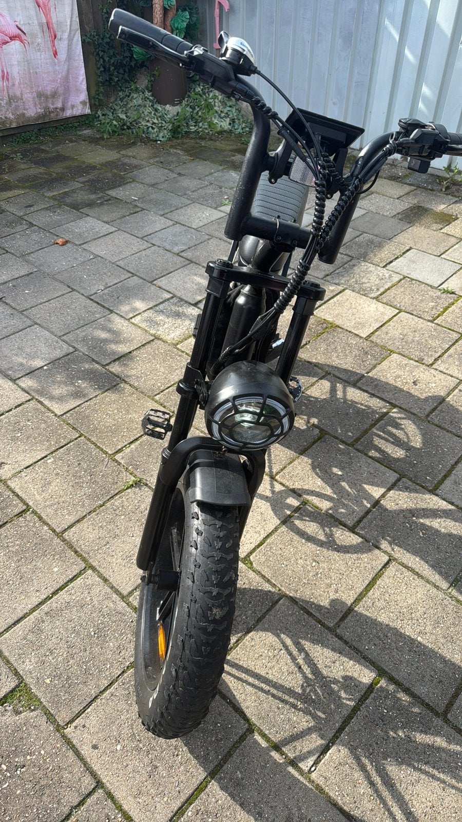 Foto 2 van Fatbike v20