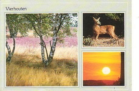 Ansichtkaart 	Vierhouten	3-luik, Verzenden, 1980 tot heden, Gelopen, Gelderland