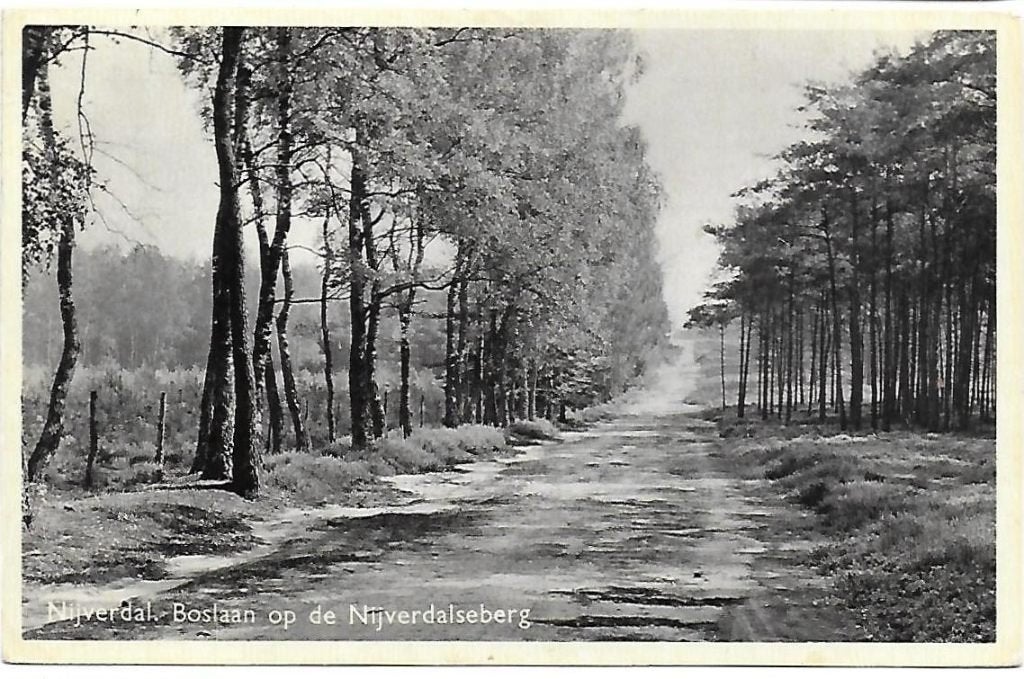Nijverdal Nijverdalse weg Oude gelopen Ansichtkaart ( B858, Verzamelen, Ophalen of Verzenden, 1920 tot 1940, Gelopen