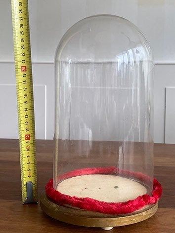 Glazen stolp, Ophalen, Gebruikt, 16 cm, Met plateau