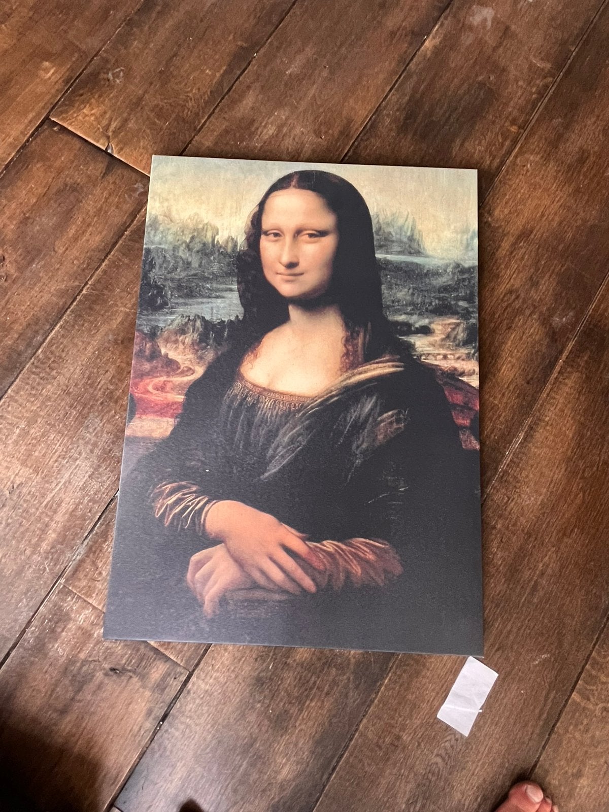Mona lisa 40x60cm, Ophalen of Verzenden, Zo goed als nieuw