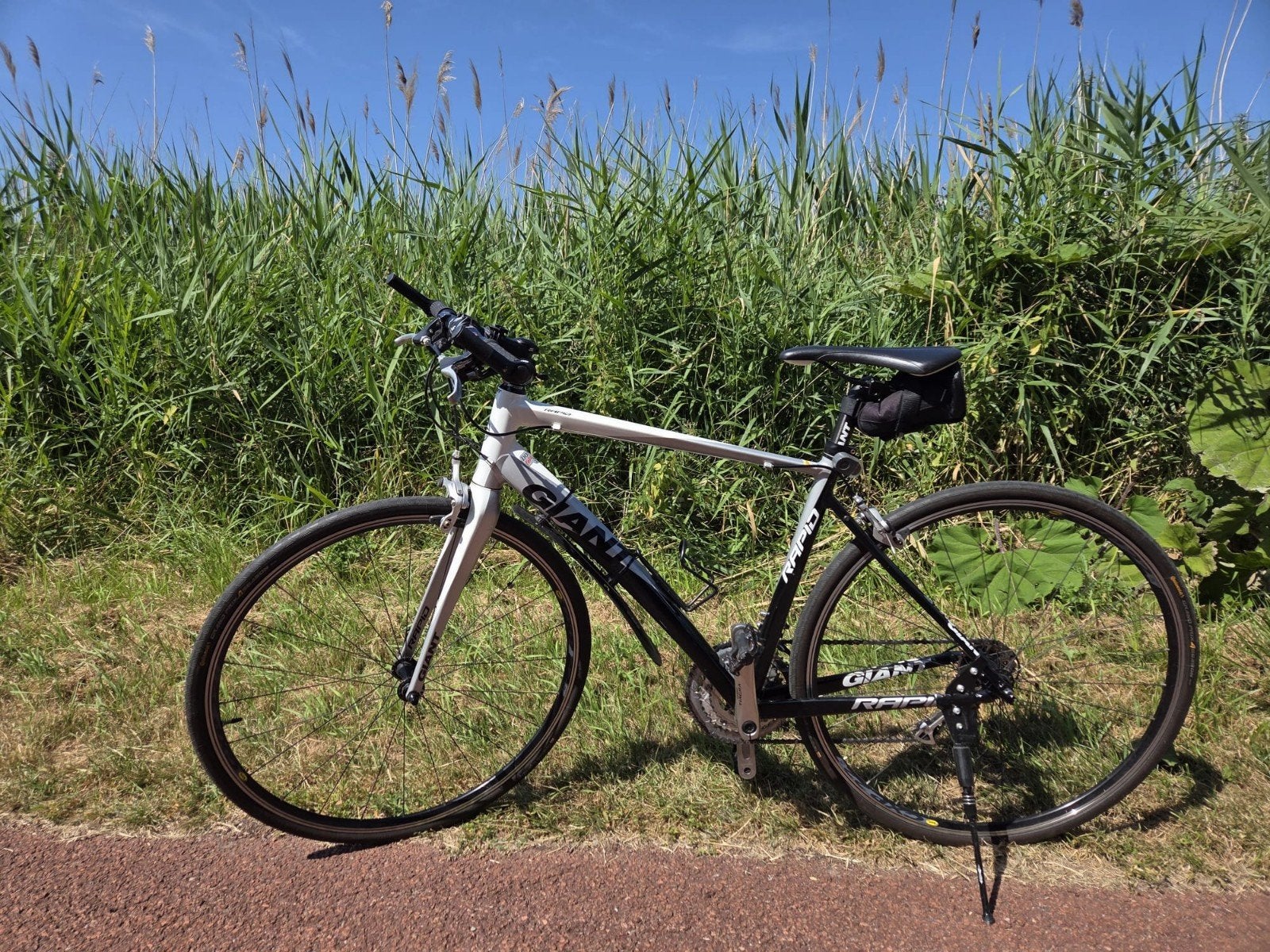 Giant Rapid Fitness Hybride Racefiets, Ophalen, 28 inch, Gebruikt, Velgrem
