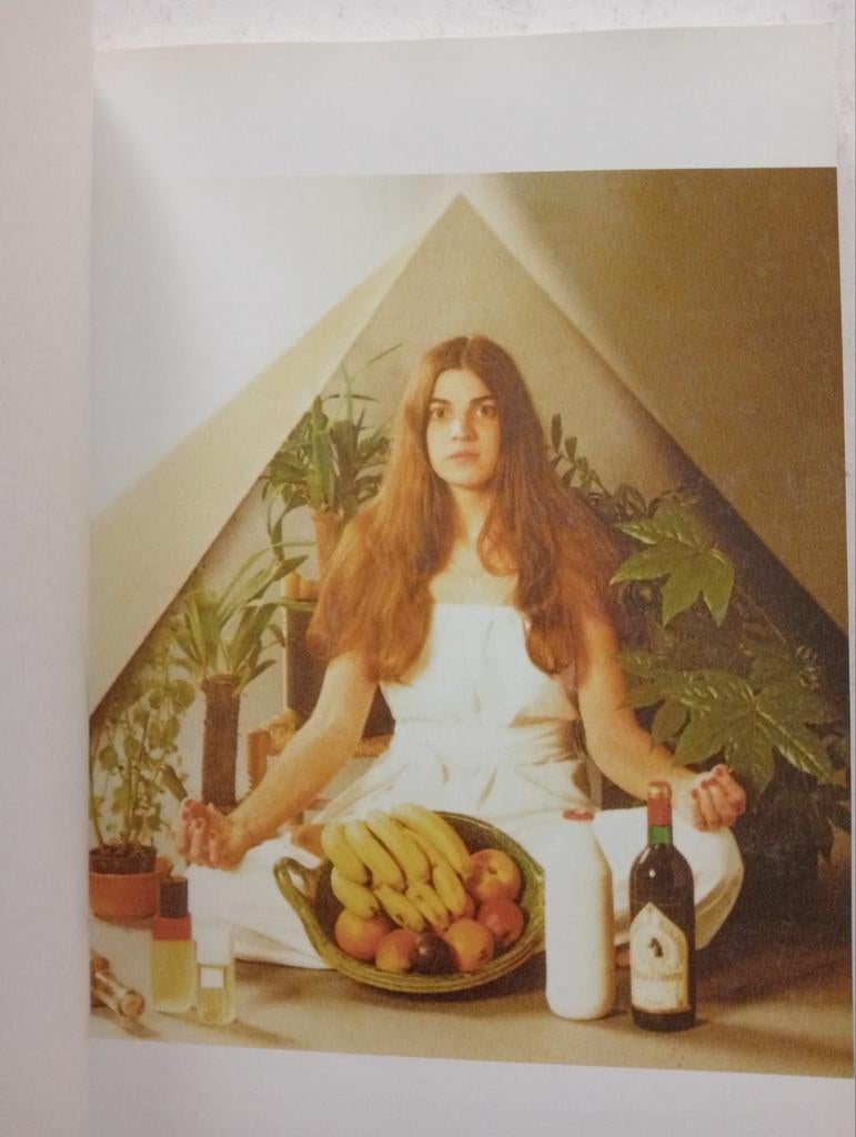 Over wat ik nog wil schrijven - Jean Paul Van Bendegem, Ophalen of Verzenden, Gelezen