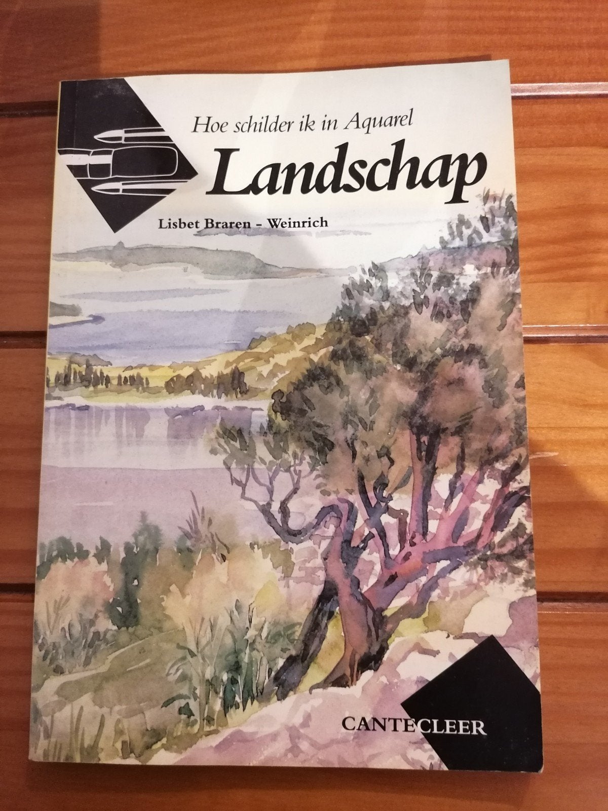 Hoe schilder ik in Aquarel:Landschap, Ophalen of Verzenden, Gelezen, Tekenen en Schilderen, Lisbet Braren-Weinrich