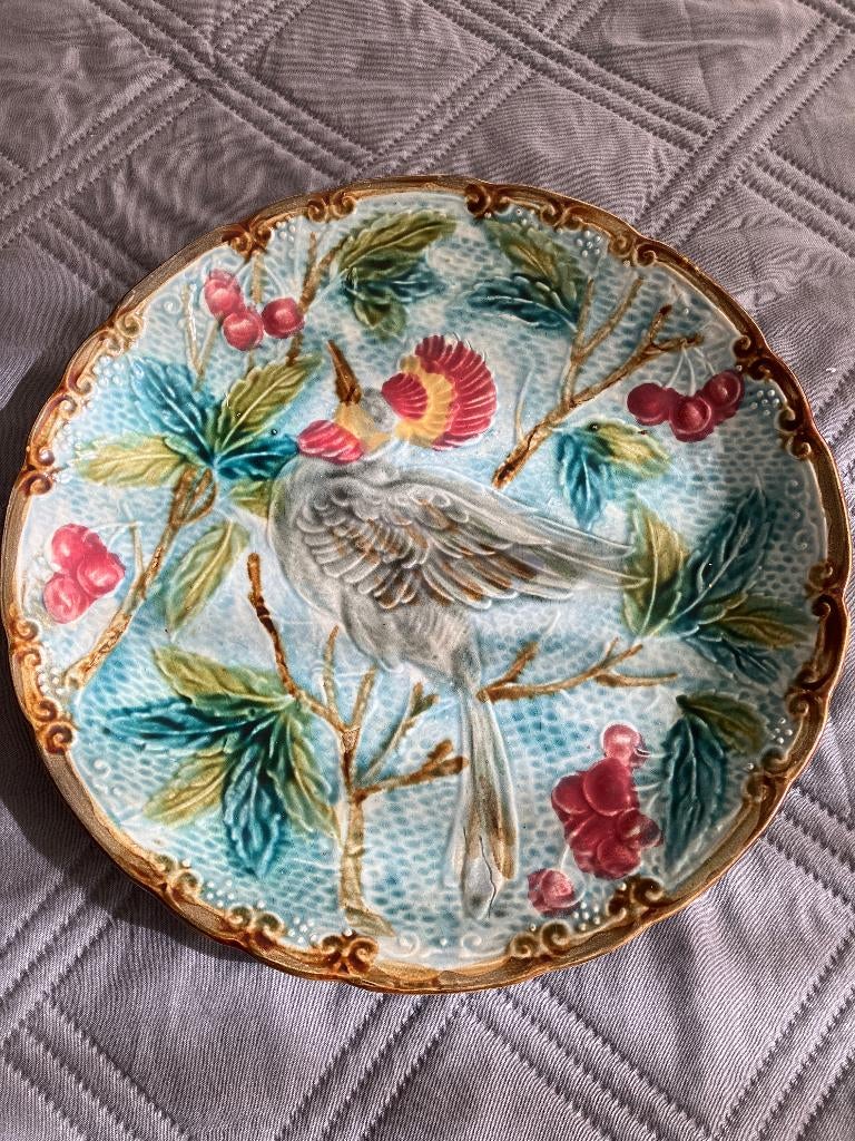 vogel sier schaal, Ophalen
