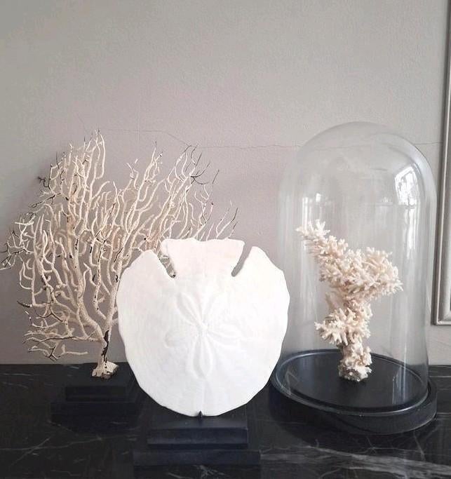 Prachtige nieuwe woonaccessoires creme zwart japandi chique, Huis en Inrichting, Nieuw, Ophalen of Verzenden, X, X