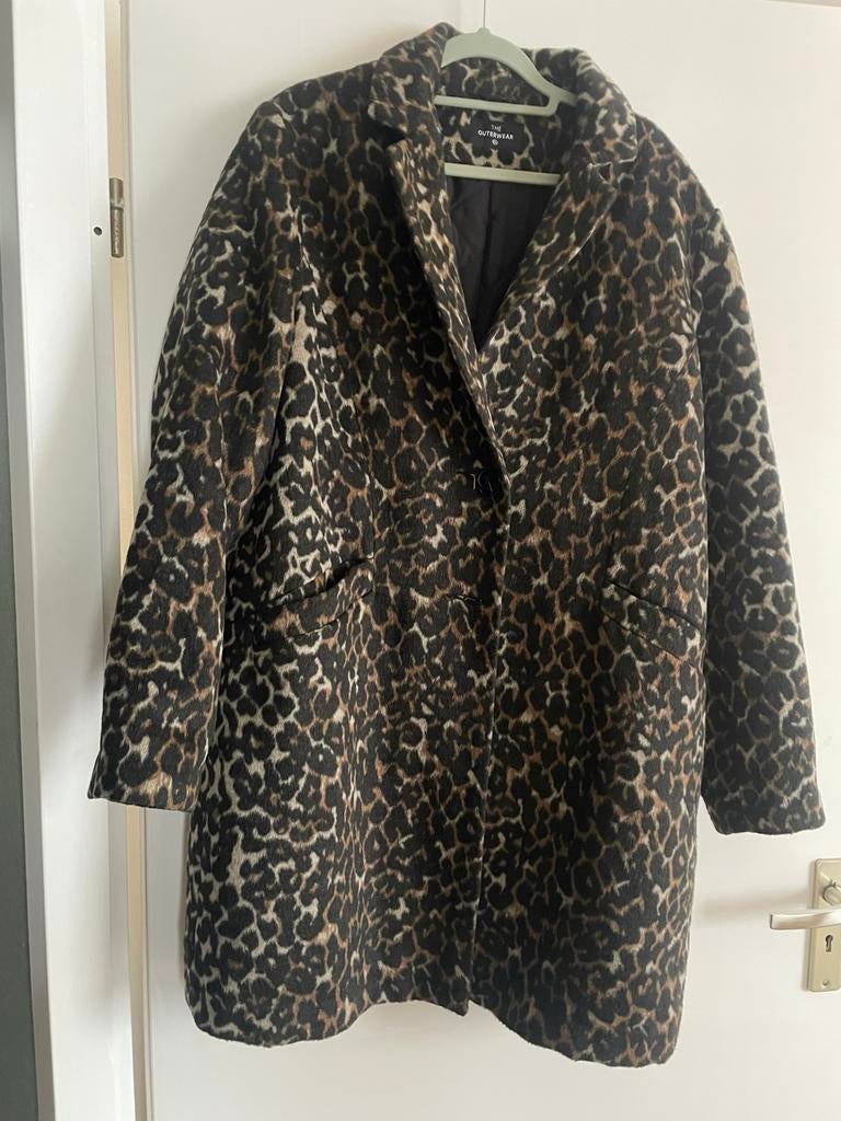 Leuke Carnaval Jas - Dames, Ophalen, Overige kleuren, Maat 42/44 (L), Zo goed als nieuw