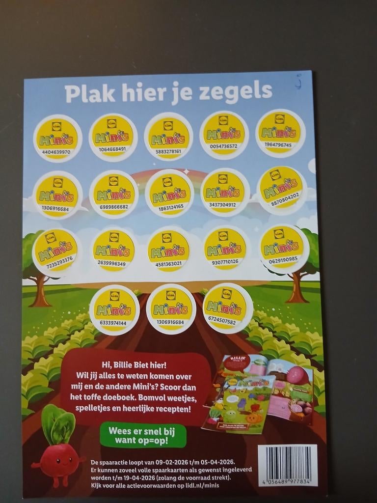Lidl Mini's volle spaarkaarten, Ophalen of Verzenden, Winkel, Super of Benzinepomp, Volle spaarkaart