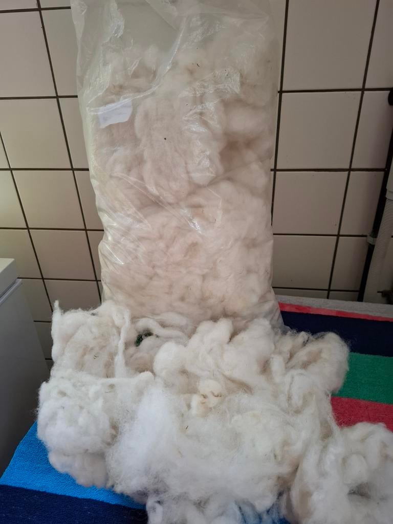 Gewassen wol van  Bleu du Maine schaap, Ophalen of Verzenden, Nieuw, Spinwol
