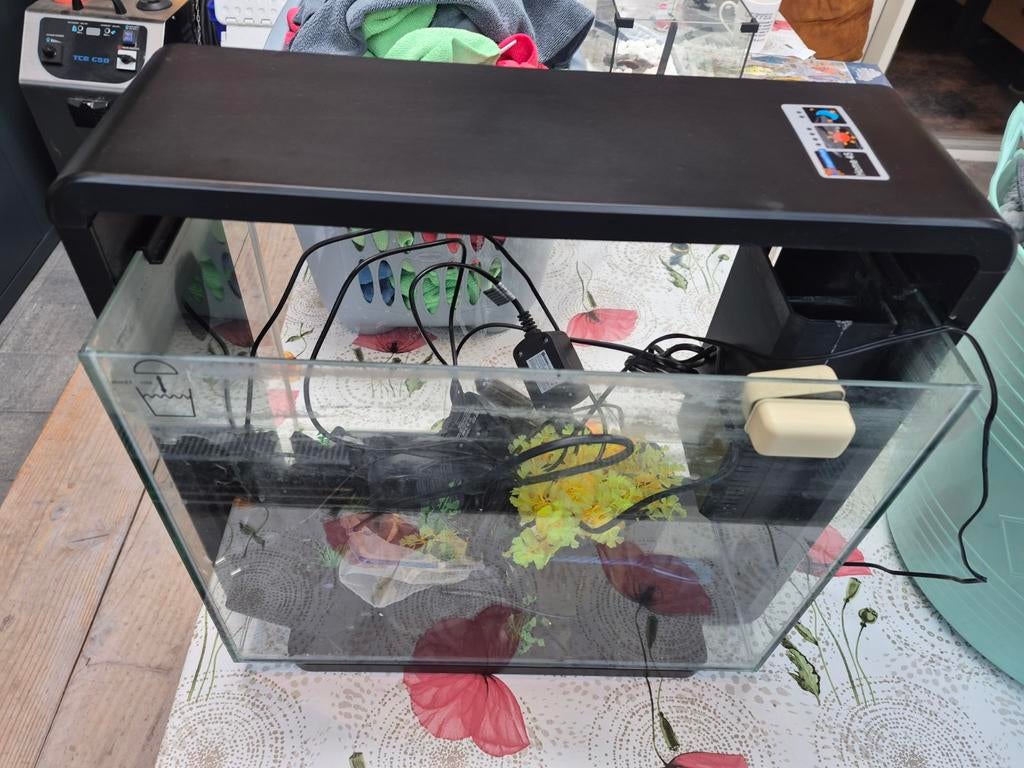 Aquarium, Ophalen, Zo goed als nieuw, Leeg aquarium