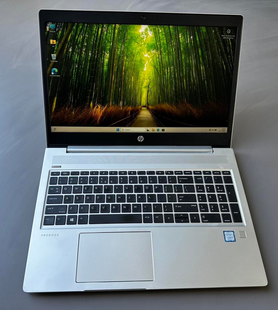 HP Probook 450 G6 - 15 inch - I5 - 8GB - 256GB SSD, Computers en Software, Windows Laptops, Gebruikt, 8 GB, Ophalen of Verzenden
