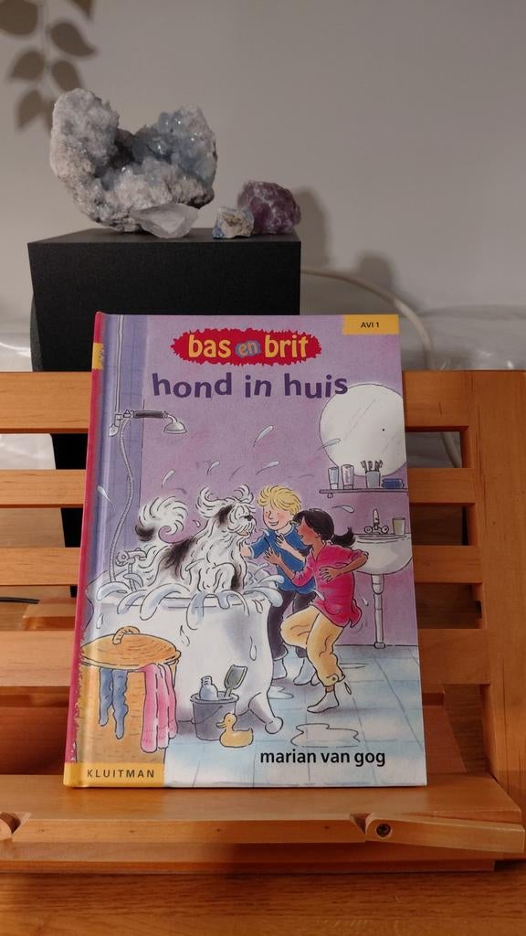 Bas en Brit - Hond in Huis, Ophalen of Verzenden, Zo goed als nieuw, Marian van Gog, Fictie algemeen