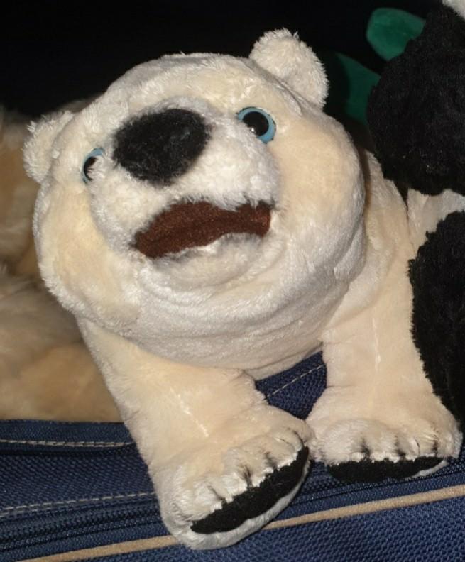 Pandadroom knuffel IJsbeer Efteling, Ophalen of Verzenden, Zo goed als nieuw, Overige typen