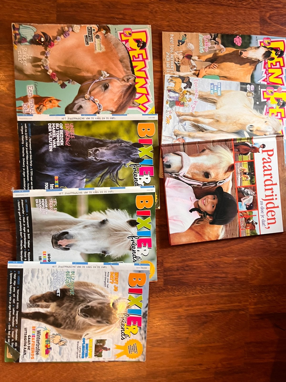 Penny Bixie en paardrijboek, Boeken, Ophalen of Verzenden, Zo goed als nieuw, Sport en Vrije tijd