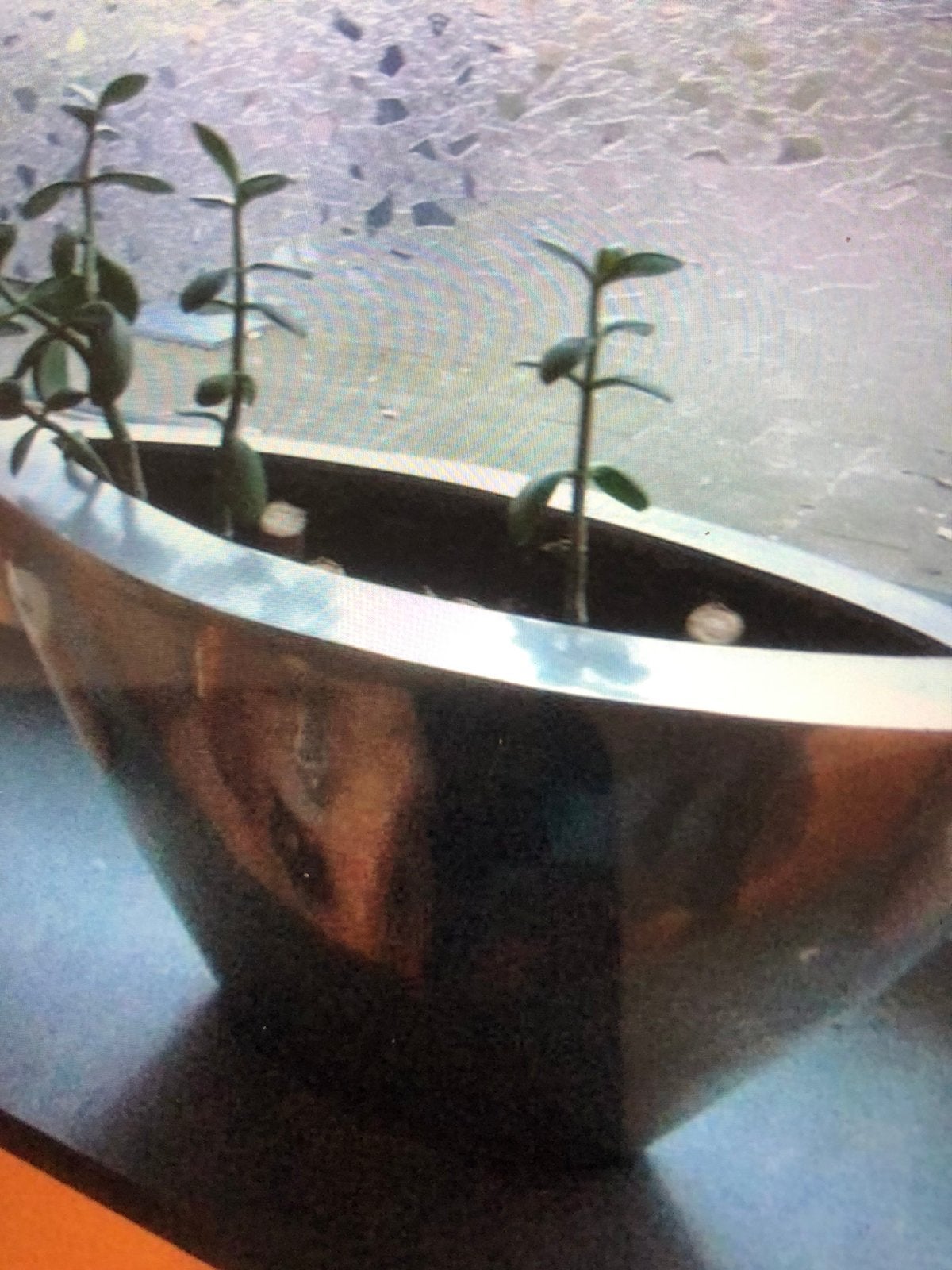 Metalen bloempot, Ophalen of Verzenden, Volle zon, Minder dan 100 cm