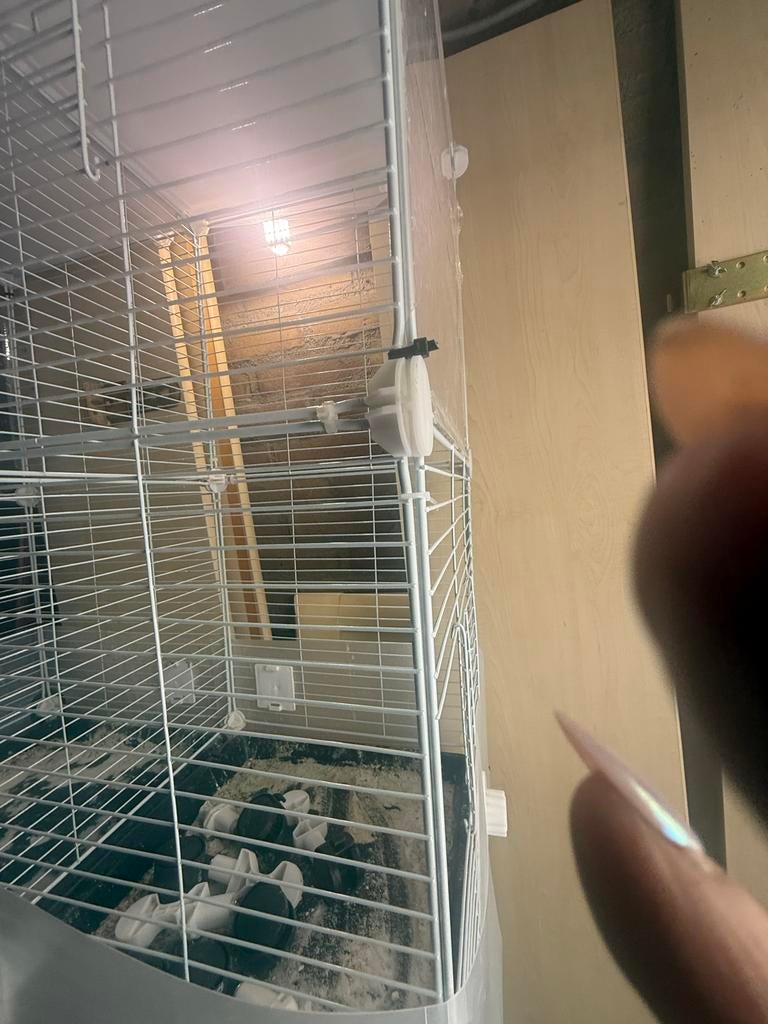 Vogel kooi met 3 verdieping, Ophalen of Verzenden, Zo goed als nieuw, Metaal, Vogelkooi