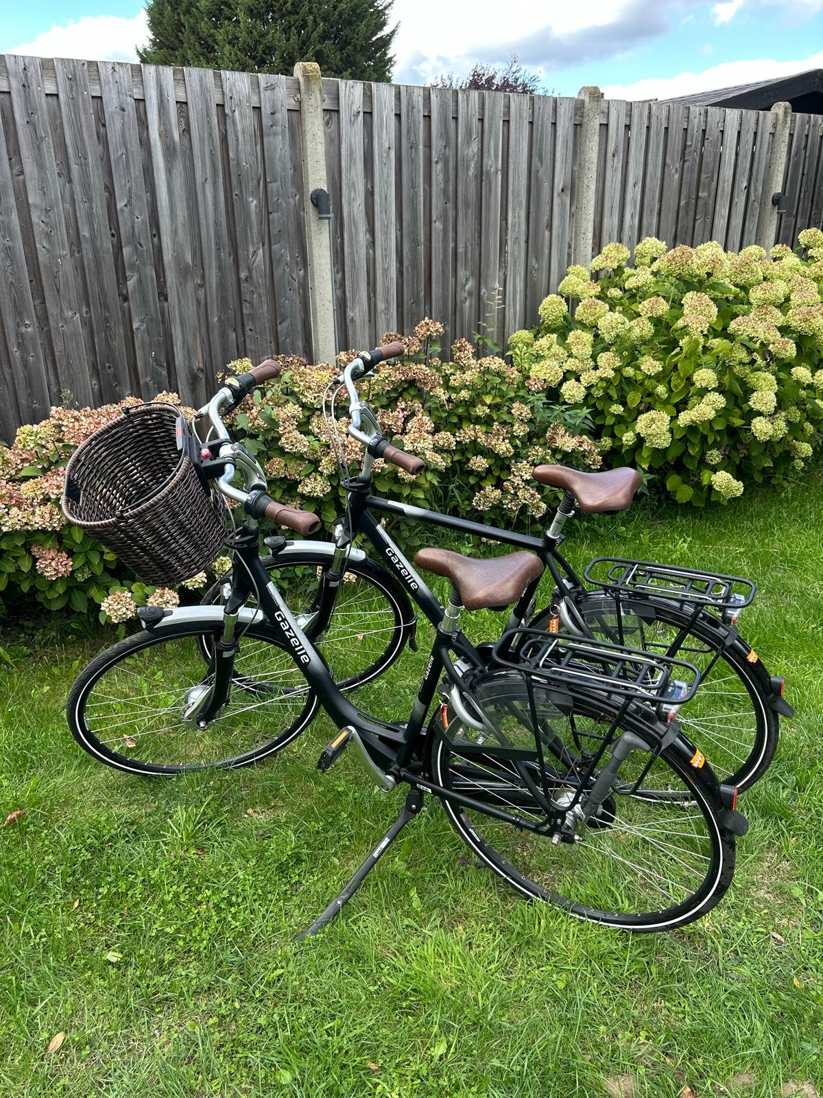 2x Nette Gazelle Stadsfietsen (Dames- en Herenmodel), Ophalen, Velgrem, Versnellingen, Gazelle