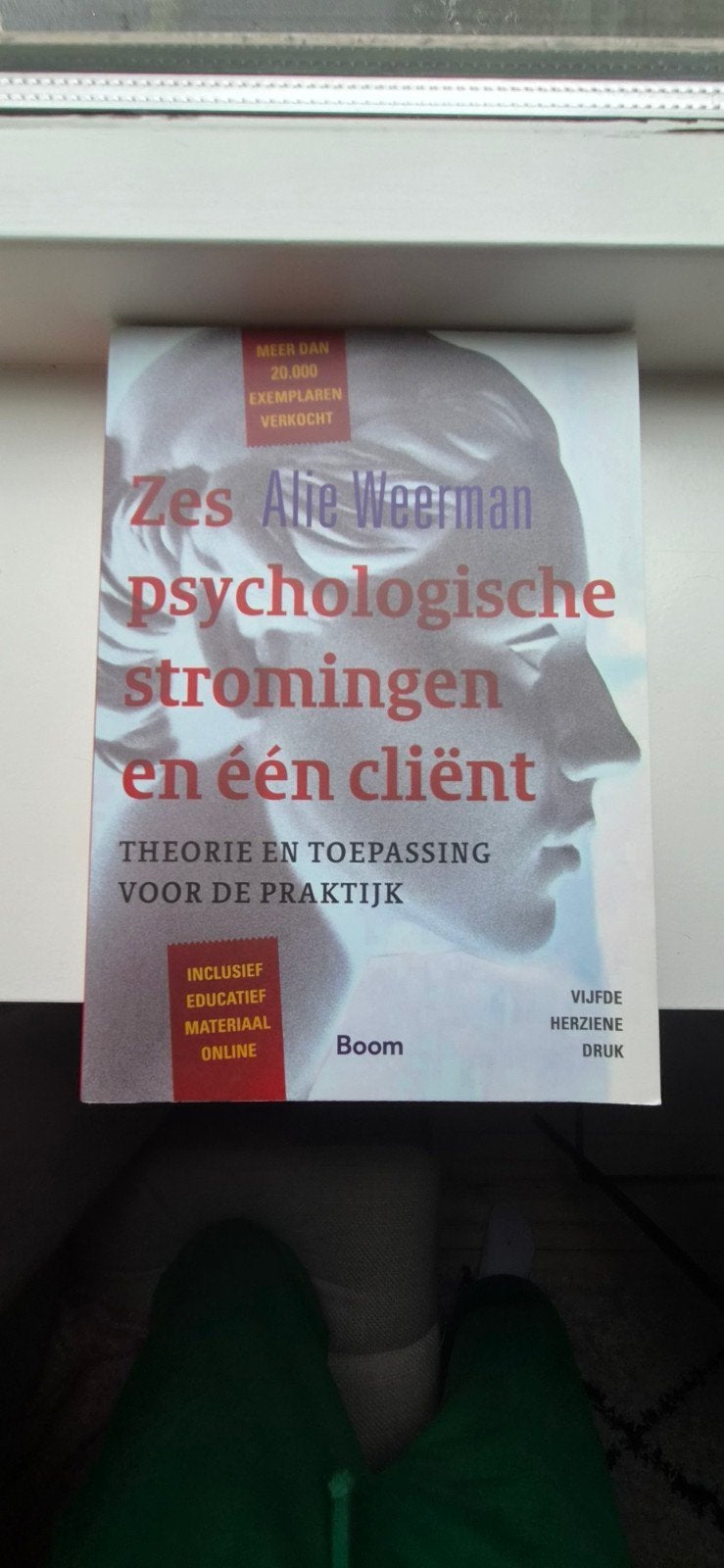 zes psychologische stromen en een cliënt, Ophalen of Verzenden, Zo goed als nieuw, Vakgebied of Industrie