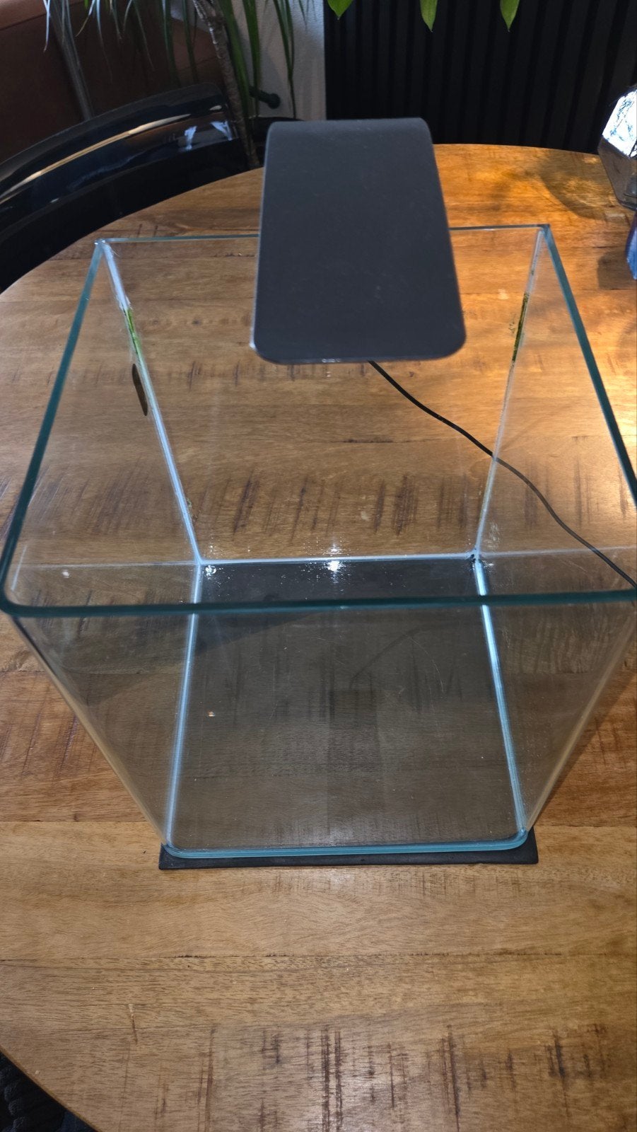 20liter lekvrij (mini) aquarium, Dieren en Toebehoren, Vissen | Aquaria en Toebehoren, Ophalen, Gebruikt, Leeg aquarium