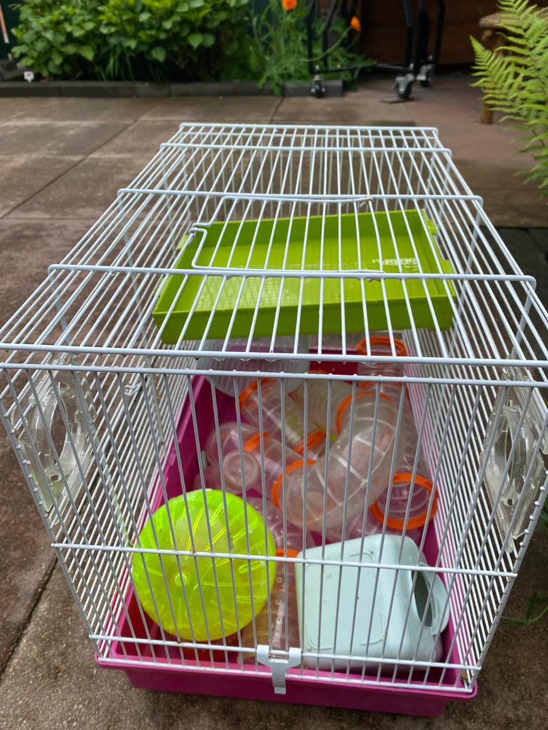 Hamster kooi, Ophalen of Verzenden