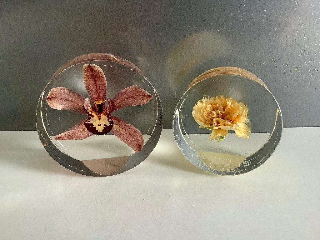 Orchidee en anjer in hars - WNF, Ophalen of Verzenden