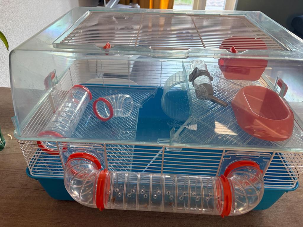 Hamsterkooi, Dieren en Toebehoren, Minder dan 60 cm, Kooi, Minder dan 75 cm, Ophalen of Verzenden