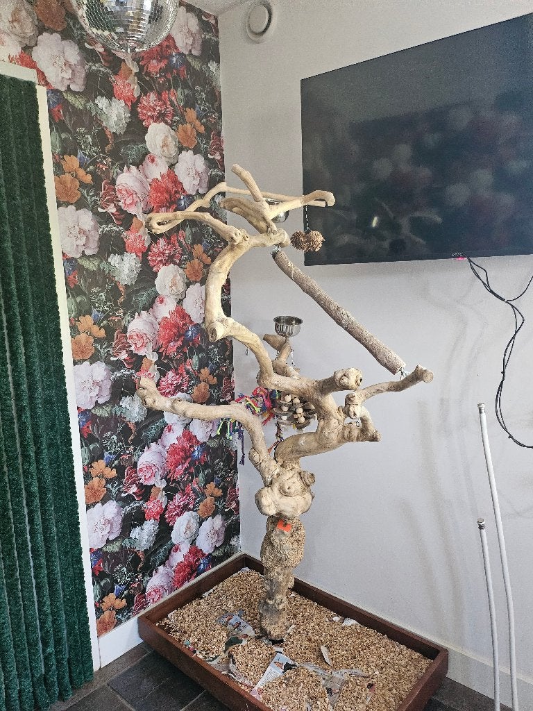 Javastok, Ophalen, Gebruikt, Overige typen