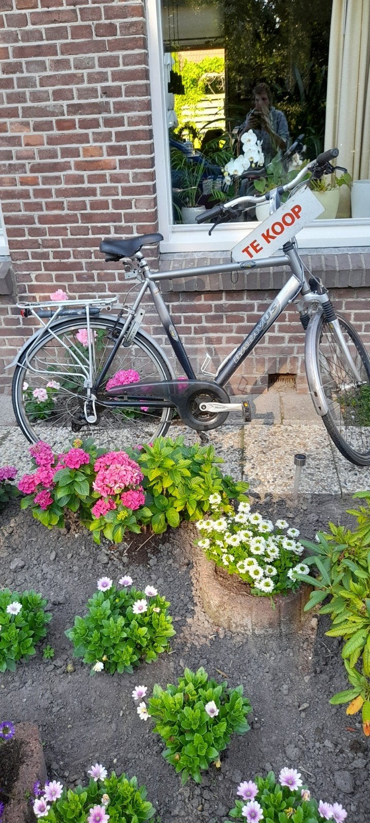 Batavus herenfiets 8 versnellingen goede staat., Ophalen, Gebruikt, Batavus, Versnellingen