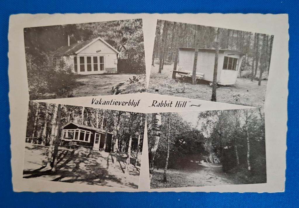 Ansichtkaart Nieuw Milligen Vakantieverblijf Rabbit Hill1954, Ophalen of Verzenden, 1940 tot 1960, Gelopen, Gelderland