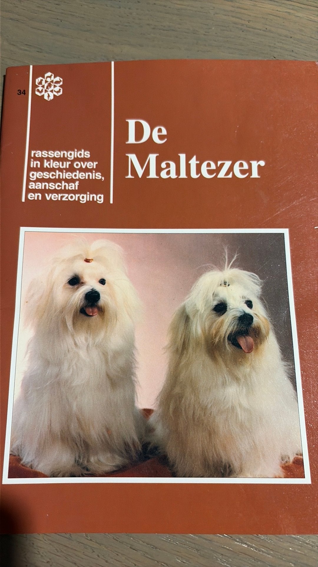 De maltezer, Ophalen of Verzenden, Zo goed als nieuw